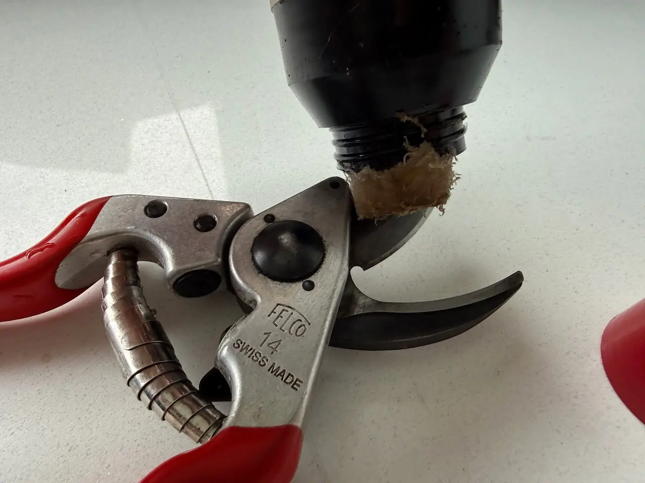 Cleaning and oiling garden tools