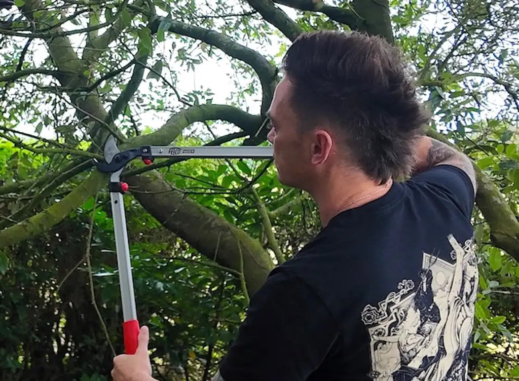 How to use garden loppers