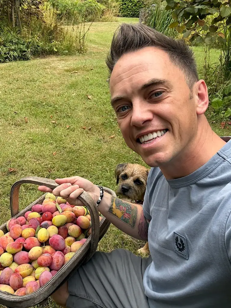 Lee Burkhill making jam with plums