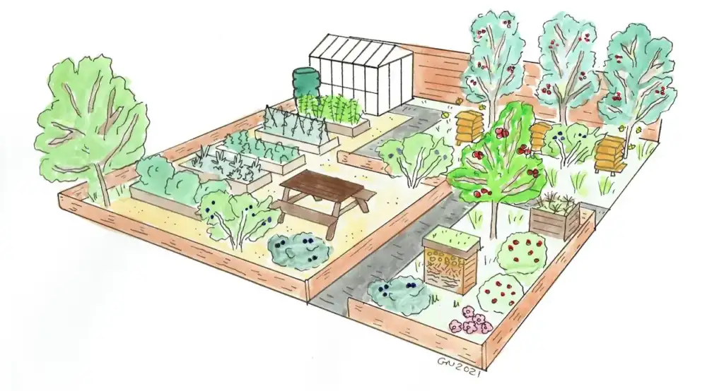 Lee Burkhill's hand drawn kitchen garden design with raised vegetable beds, fruit trees and a greenhouse
