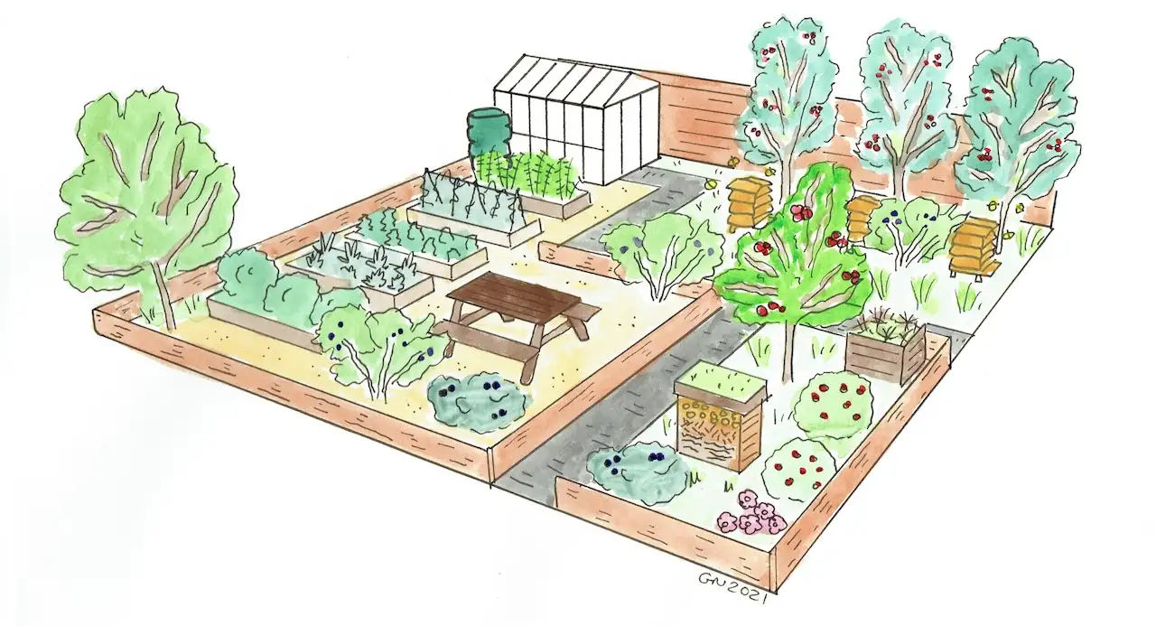 A productive allotment garden
