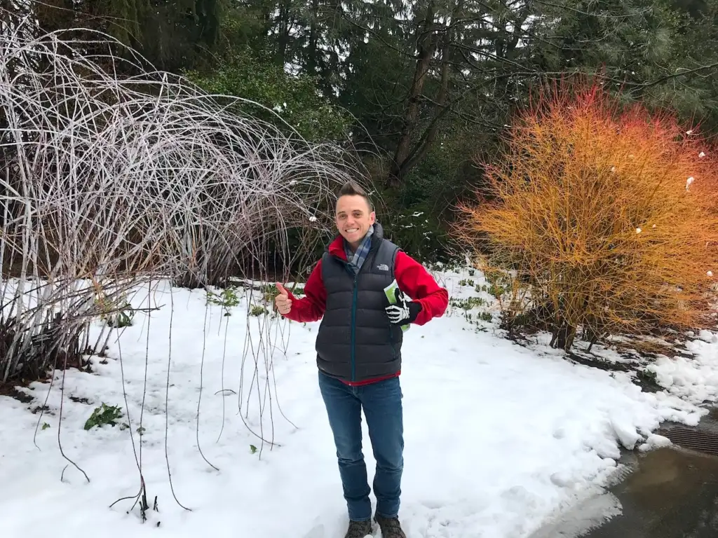 Gardening jobs for winter guide