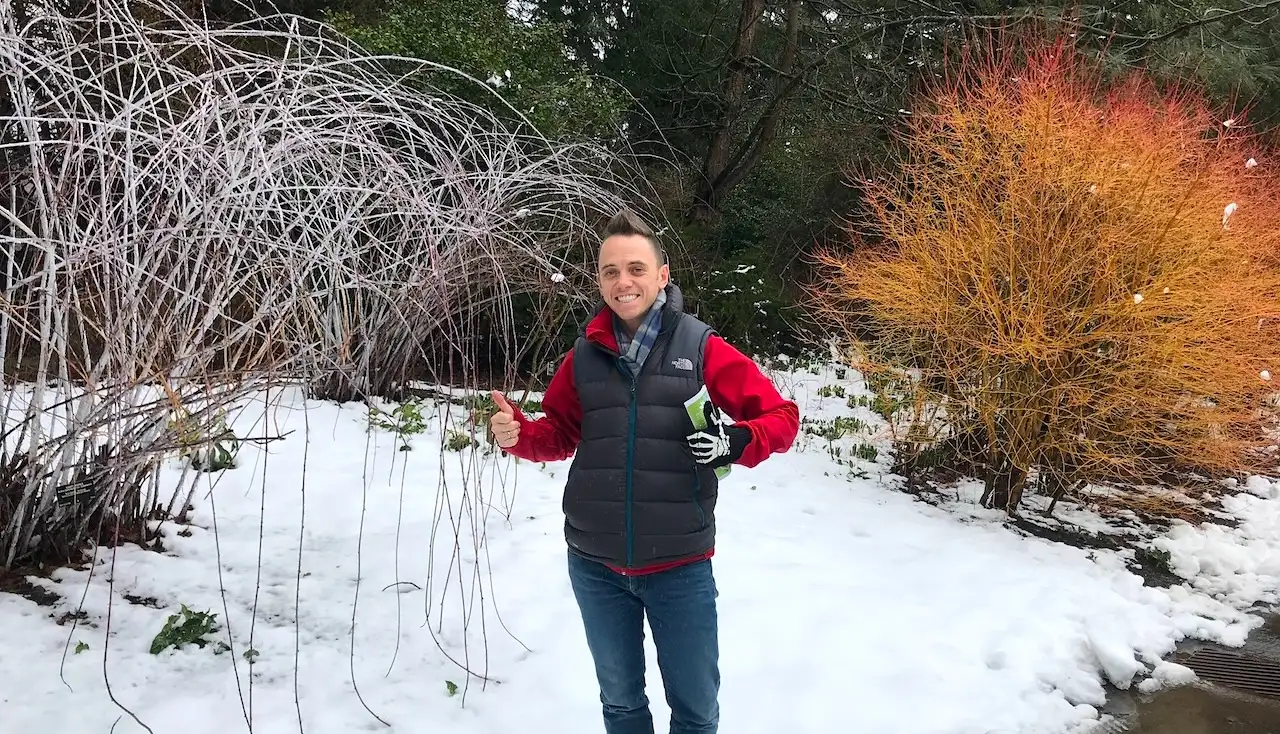 Gardening jobs for winter guide