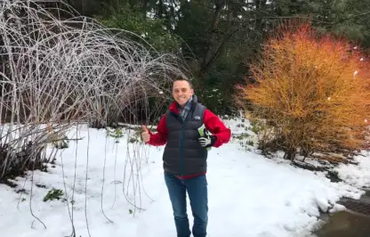 Gardening jobs for winter guide