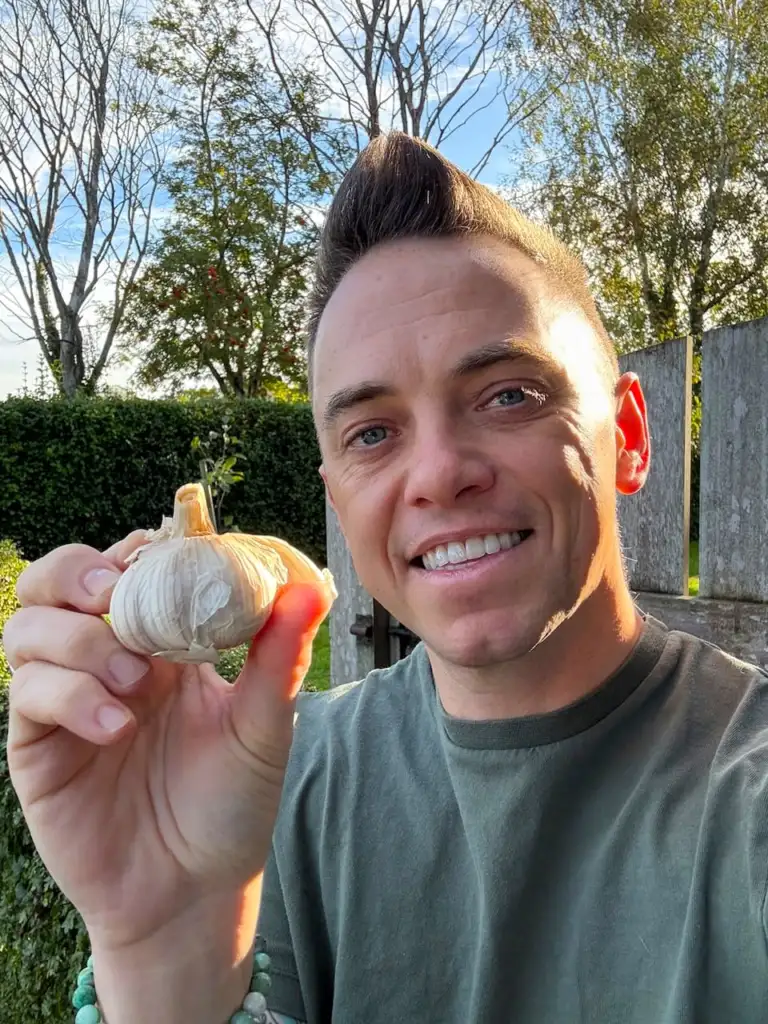 Garlic growing guide