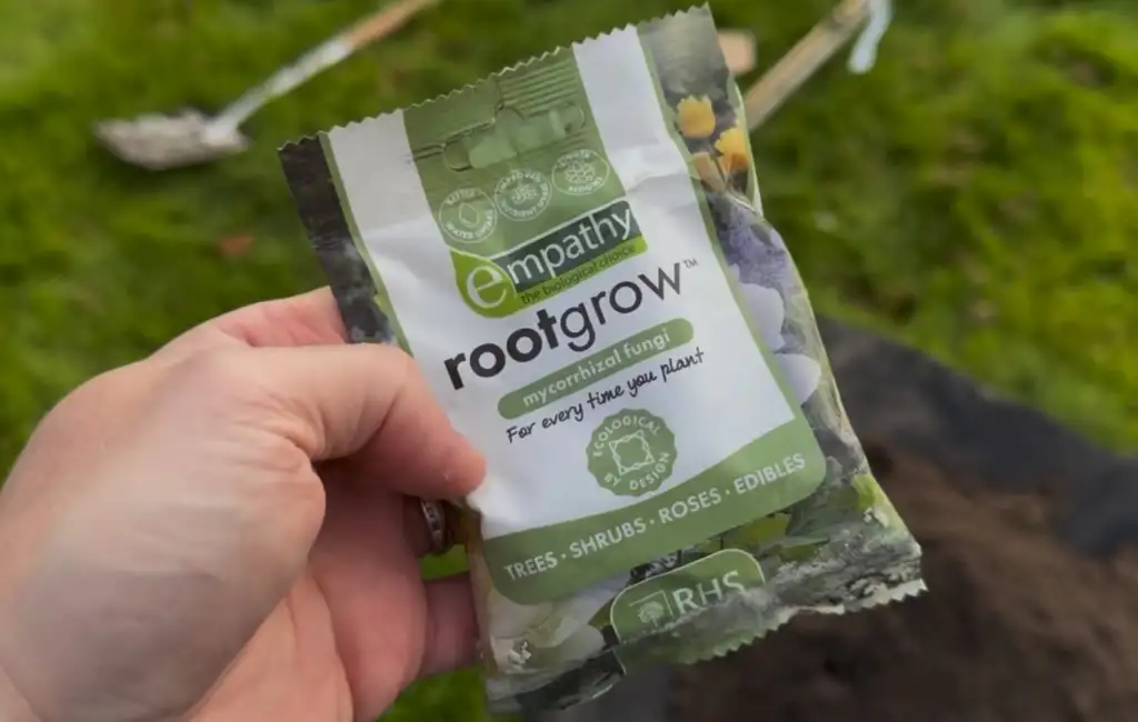 Packet of mycorrhizal fungi for plant roots